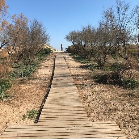 Apartmán Atico Duplex En Aigua Blanca Oliva Exteriér fotografie